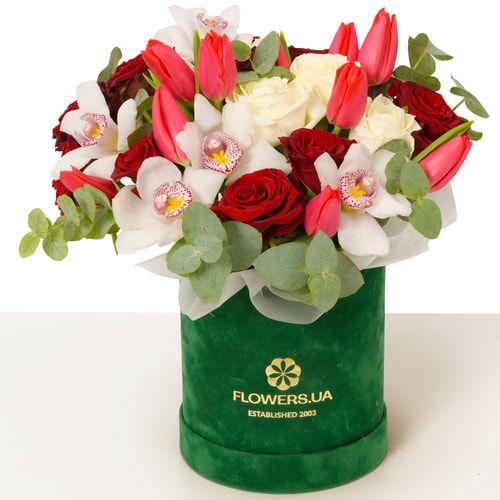 Композиция "Stunning Lady"