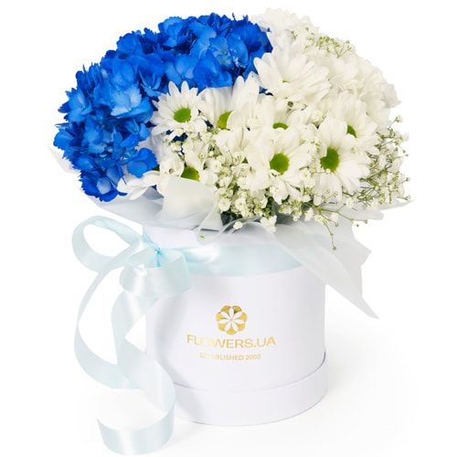 Композиция "Галата"