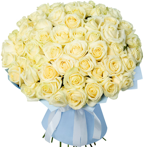 51 біла троянда