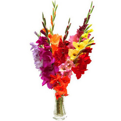 Bouquet "Fireworks"