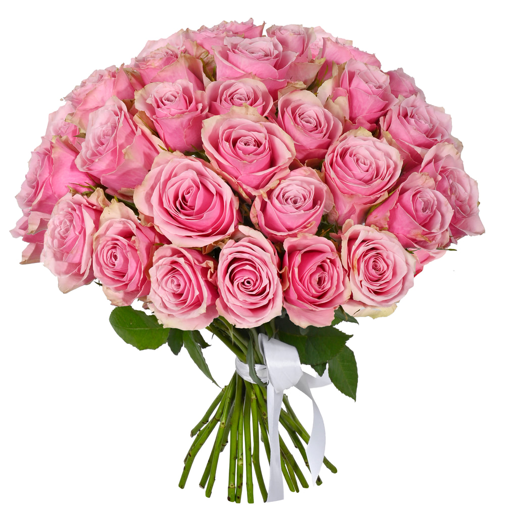 Atinan Roses Order 21 Royale Athena rose in Kyiv